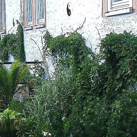 Ferienwohnung Sapana Pockau Exterior foto