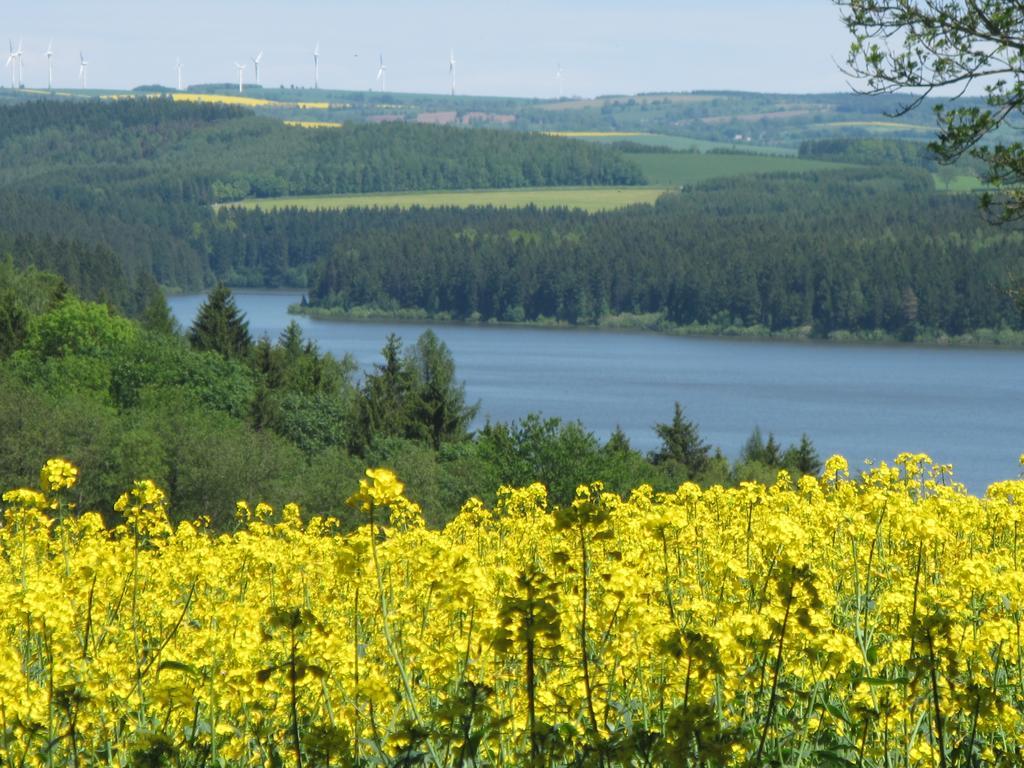 Sapana Pockau